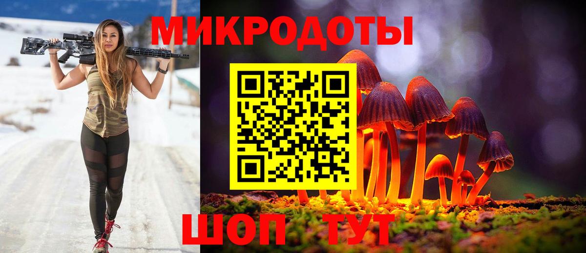Сунжа  Галлюциногенные грибы Magic Shrooms  Вход с VPN  Псилоцибиновые грибы прущие грибы 